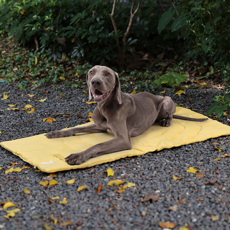 Tappetino per animali domestic - Outdoor Rug Waterproof recensione e prezzo