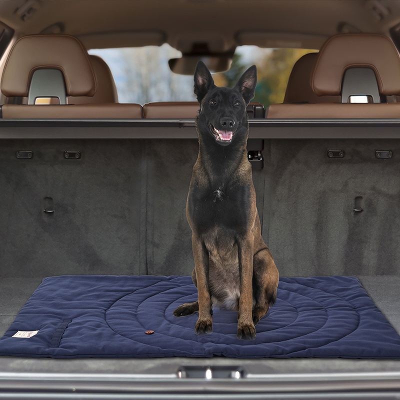 Tappetino per animali domestic - Outdoor Rug Waterproof recensione e prezzo